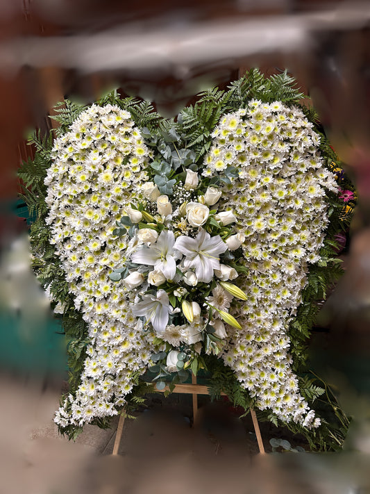 Alas de ángel grande