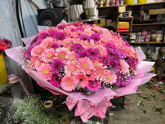 50 Gerberas ramo coreano